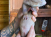 Half micro ferret kits