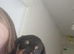 Bullvieler puppies