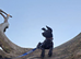 Bull herder puppy