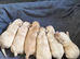 Beautiful KC Reg Puppies from Health Tested Parents