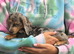 Mini dachshund