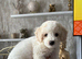 *REDUCED*READY TO LEAVE only 2 baby's left 1 boy and 1 girl