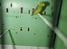 7 stunning parrolets