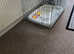Metal dog cage