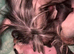 2 Chinese crested puppies