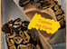 Amazing range of ball pythons avaiable