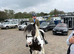 Heartbreak Sale: Perfect Child's Pony