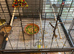 Large floor standing bird cage less than 4 months old