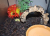 Pac Man Frog