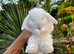 Friendly Baby Mini Lops
