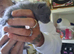 Russian blue babies stunning