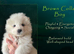 KC Registered Samoyeds from Proven Champion Lines