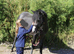 11.2hh 4 yr old mare lead rein