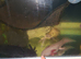 2 axlottil boys