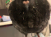 2 hand reared pigeons male and female MUST GO ASAP AND TOGETHER