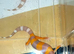 4 baby leopard gecko