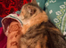 8 months bsh female