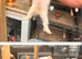 Young ferrets for sale