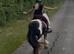 14.2 bombproof ride and drive mare