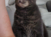 Bruno needs a new home