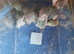 Baby lovebirds for hand rearing