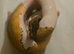 OD Pinstripe Pied 66% Het Sunset 50% Het Albino