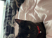 Bombay rare cat breed in the uk
