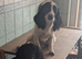Jessie and Mazie