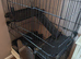 Animal cage