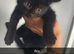 3 black Maine coon kittens