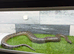 GREEN ANACONDAS
