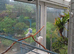 2026 Helicopter budgies