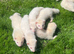 Albino Girls 2 Left ️