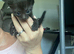 X2 male kittens ready to go now