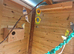 All 7 budgie for sale