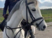 Stunning 13hh 12 year old mare