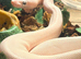 Beautiful blue eyed Lucy ****RARE****