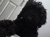 Black female