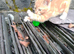 2 male kittens for sale