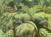 Leopard tortoises