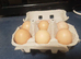 Silkie Hatching eggs