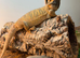 Baby bearded dragons