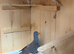 Diamond doves