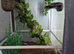 White glass Vivarium for sale suitable for Reptiles & Amphibian,s