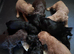 LITTER COCKERPOO