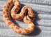 Red Toffeebelly Conda male 100% Het Axanthic (toxic) CB 25