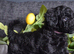Miniature poodle pups