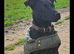 STUNNING FEMALE PATTERDALE TERRIER