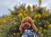 Sheldon, Red Asian Teddy Poodle, Surrey!