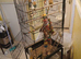 Large Floor Mounted Wheeled Birdcage.